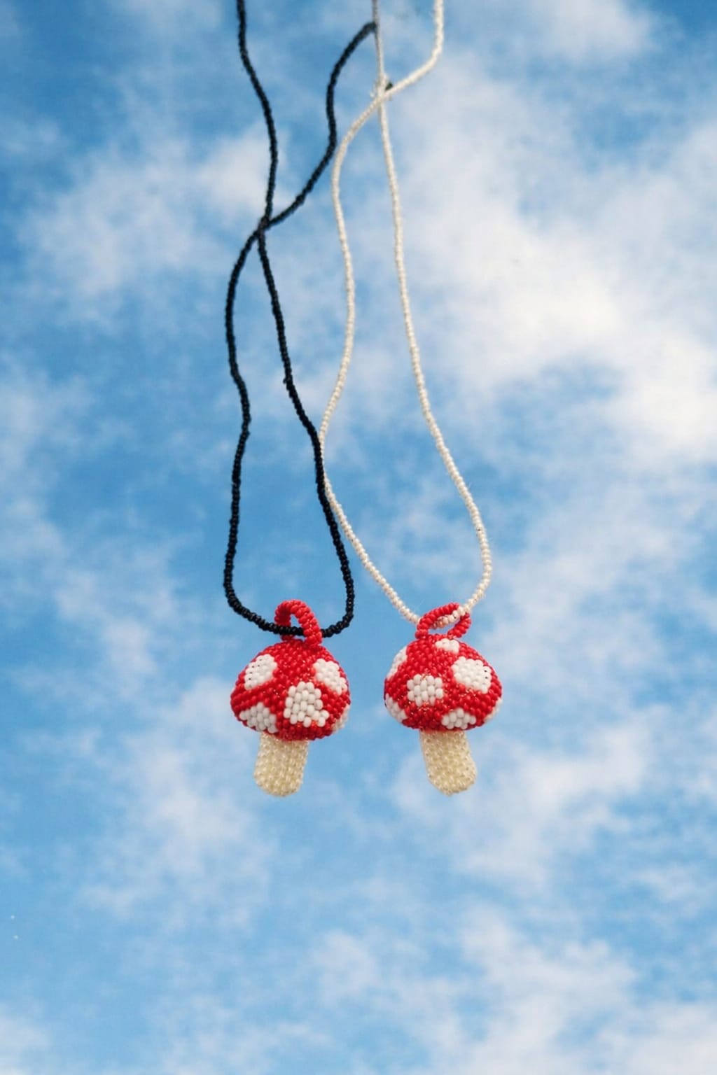 Hongo en mostacilla del Putumayo